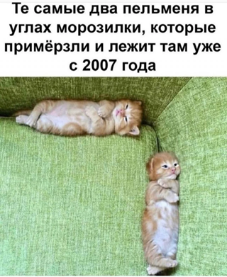 https://i1.imageban.ru/out/2026/05/17/33b3d39167b24196422dd579b51af5f5.png