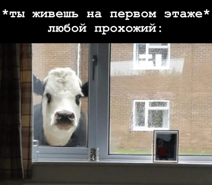 https://i1.imageban.ru/out/2026/05/17/66f036d03cea555be8755f5ac0cf159b.png