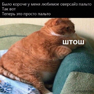 https://i1.imageban.ru/out/2026/05/17/6c8b36aed02a87eee796928875ed142e.jpg