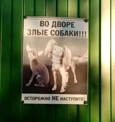 https://i1.imageban.ru/out/2026/05/17/a6c3984f20543b19b5b7cb668043eea5.jpg