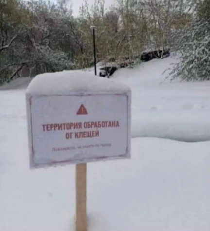 https://i1.imageban.ru/out/2026/05/17/c60afaf1fdcdc403883626c8b9afd466.png