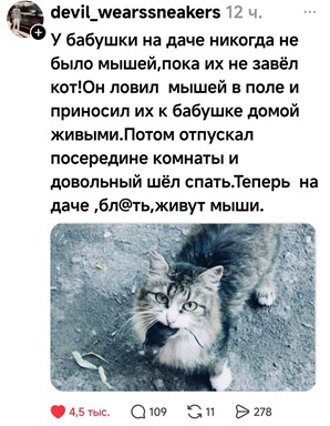 https://i1.imageban.ru/out/2026/05/17/e44ab916deab9eb24fc6378c75b88c17.jpg