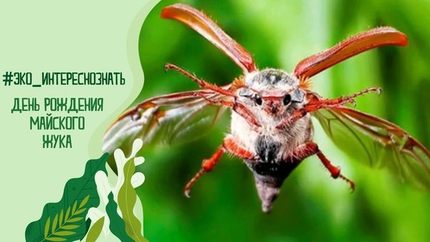https://i1.imageban.ru/out/2026/05/18/dff84bdb09b4c7f1d6c25511cb1d7912.jpeg