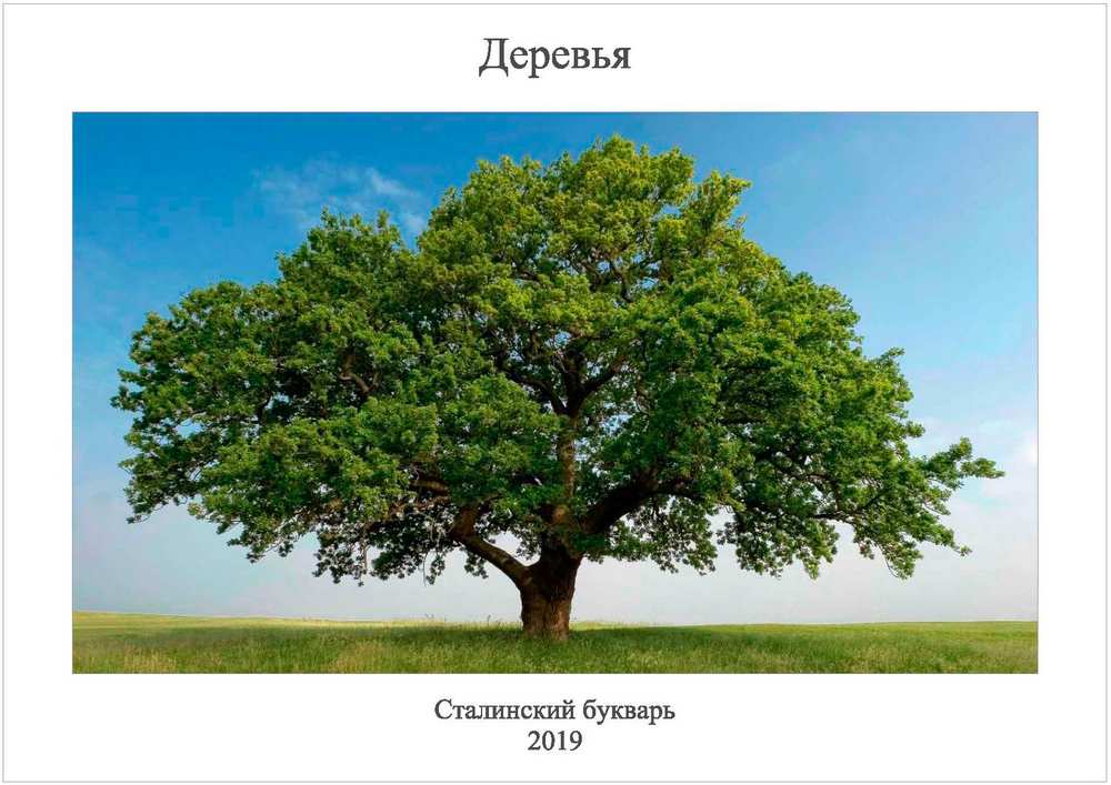 Чтение - Сталинский букварь - Пособие. Деревья - 2019_1p.jpg