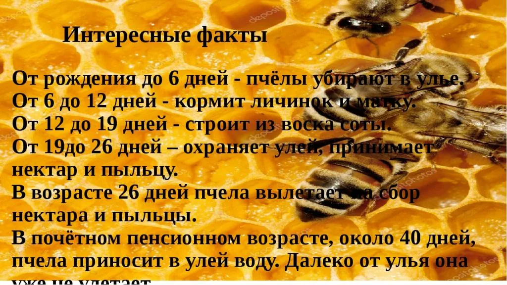 https://i1.imageban.ru/out/2026/05/20/51e1e0cd787524c6ed6a0943d280189f.webp