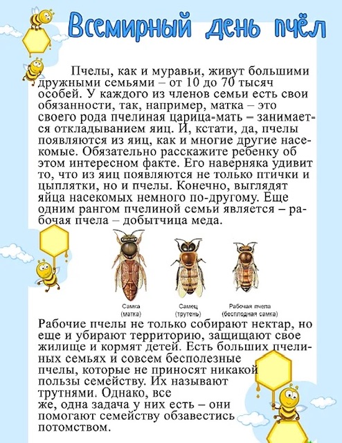 https://i1.imageban.ru/out/2026/05/20/a8c9e0450349a53c9fb7c57d7d2897f5.jpeg