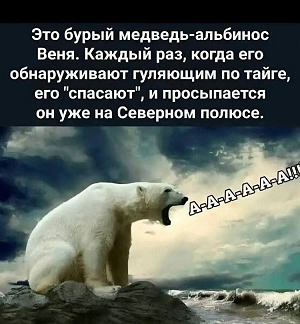 https://i1.imageban.ru/out/2026/05/22/5ac69dc66481d77d30f0c896ec900c66.png