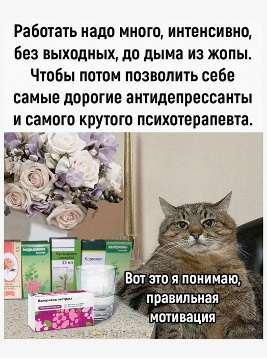 11-.jpg