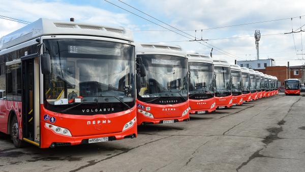 В Перми модернизируют приложение общественного транспорта за 20 млн рублей