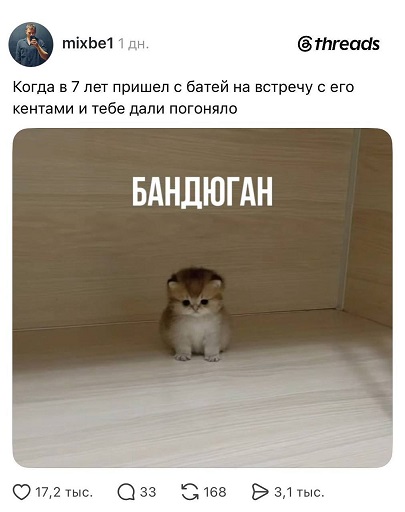 https://i1.imageban.ru/out/2026/05/25/e06ac62167ee57d1a9208e2a1004c03f.jpg