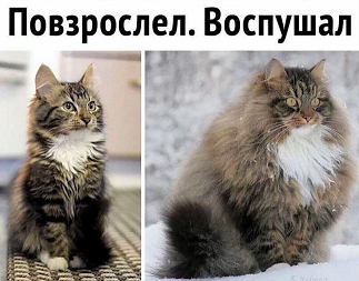 https://i1.imageban.ru/out/2026/05/29/d5c8475f0cff5ac954b55e14041c8e0b.png