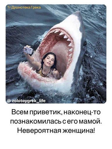 https://i1.imageban.ru/out/2026/06/06/43aff94f1b14827fd967828d88d8f80e.png
