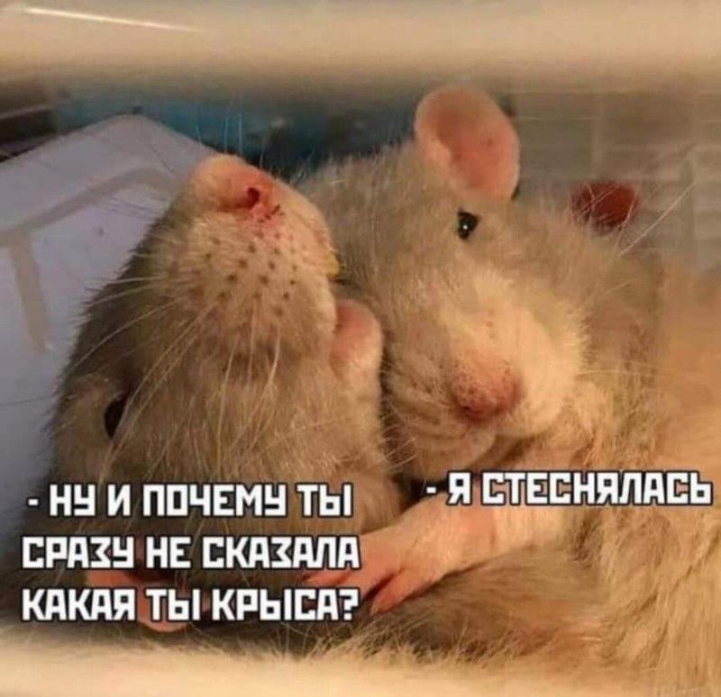 336e28b0f7f9ae19fc52c6a418d08fc7.jpg