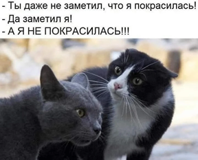 https://i1.imageban.ru/out/2026/06/06/abb4d02d56ed1cca41dab9c262bb132d.png