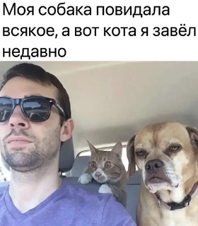 https://i1.imageban.ru/out/2026/06/06/ae56ff2a714c4286fc1e0b07bb5e5d64.png