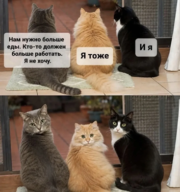 https://i1.imageban.ru/out/2026/06/10/114bdd3c11ac1b07e9dd39added52f53.png