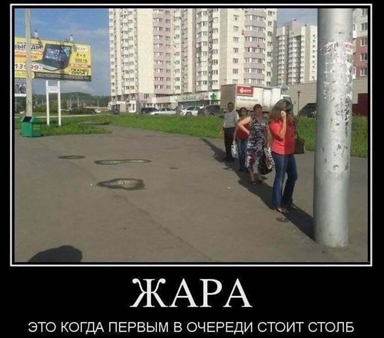 https://i1.imageban.ru/out/2026/06/10/8e15c047986753f411c460fc441c3338.png
