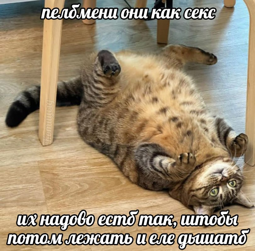 e8c36a14a3eade0c24c3d28deb975a52.png