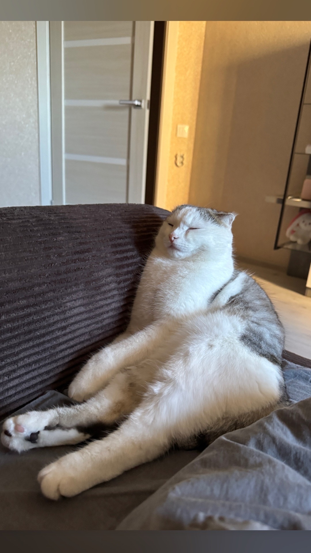 lpTkLnh1YrJTOMugWwX8fxLUcx9_9kXaDgXJed8nKLlXz82DrghPCA81X0IqrkWlnr2BQI3XSkcjYE82dzbBdKps.jpg