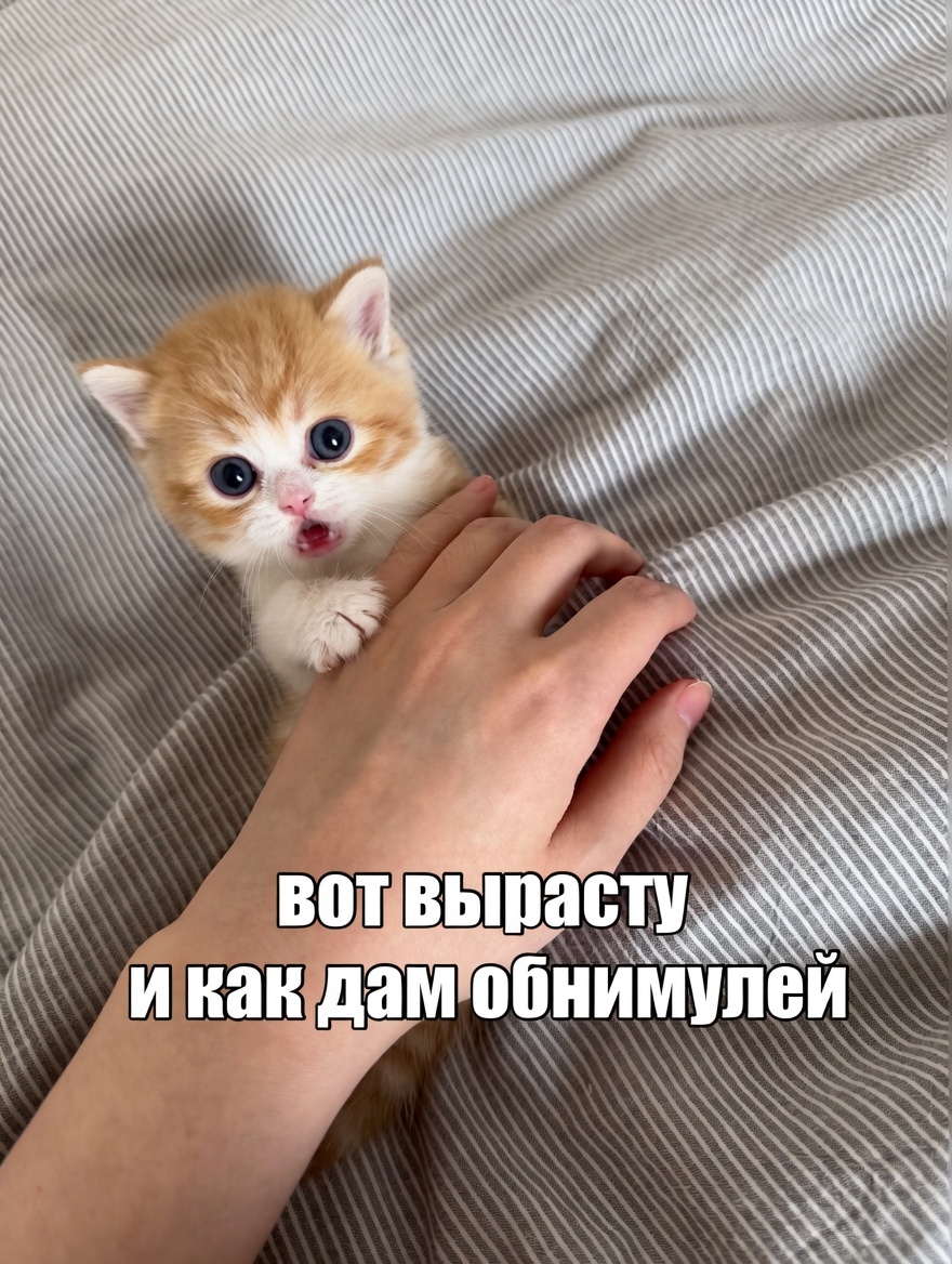 п0MIsb5yk1pDyNthfRLg.jpg