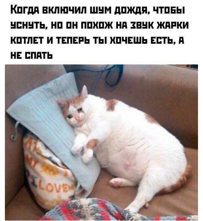 пu6HZttcpmmLvMPow.jpg