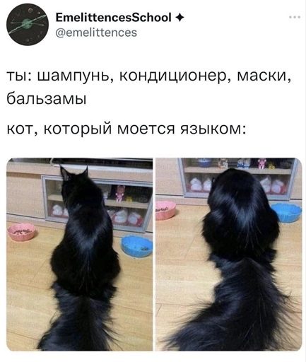 https://i1.imageban.ru/out/2026/06/13/e3619942fb21085d2762ebb50372b777.jpg