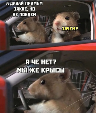 https://i1.imageban.ru/out/2026/06/18/8085b84bcf159b5dd0e46061e59f2320.jpg