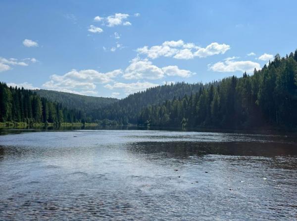 Качество воды в реках Прикамья улучшилось, но не достигло норм