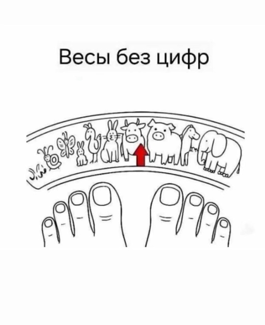 https://i1.imageban.ru/out/2026/07/03/6d889afbb8f4034b5778e93f89dae35c.jpg