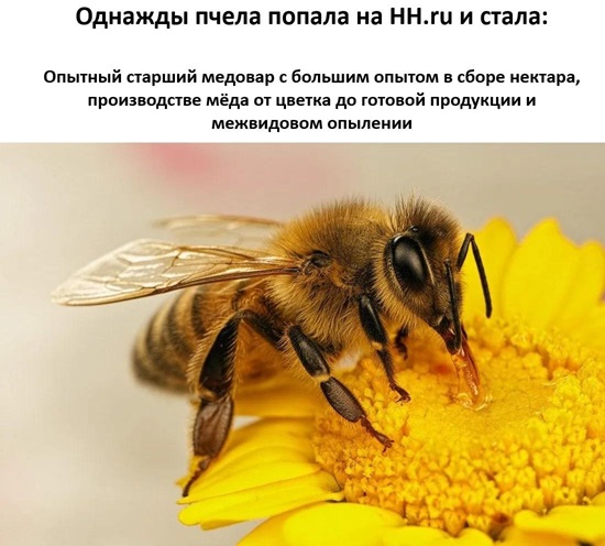 https://i1.imageban.ru/out/2026/07/04/fd849c37bde2c17933dad7435fc32cf1.jpg