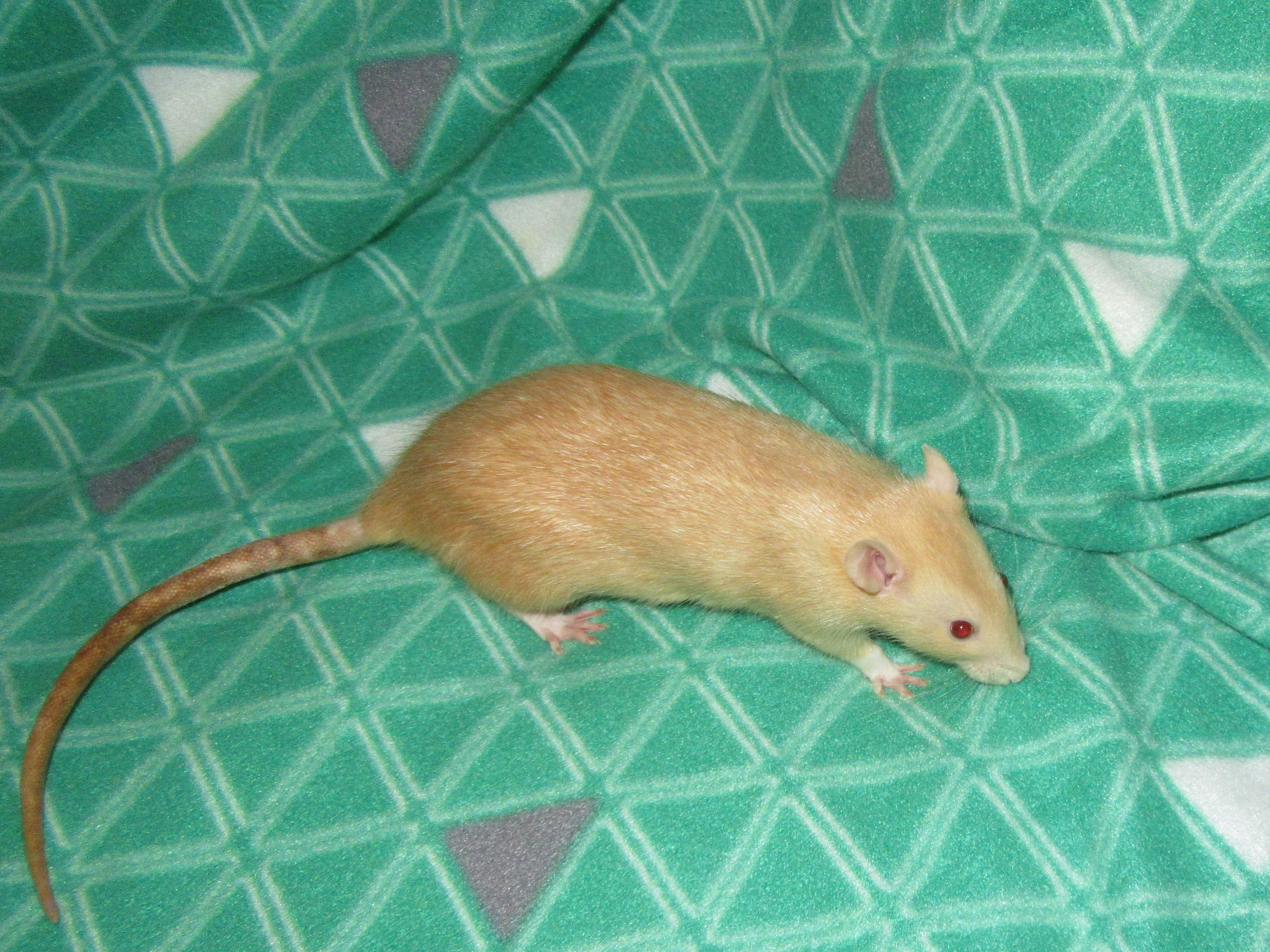 Марта 21.jpg