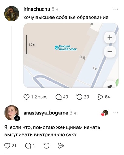 https://i1.imageban.ru/out/2026/07/05/ae733bf3329500bc196cf46a9b19e669.jpg