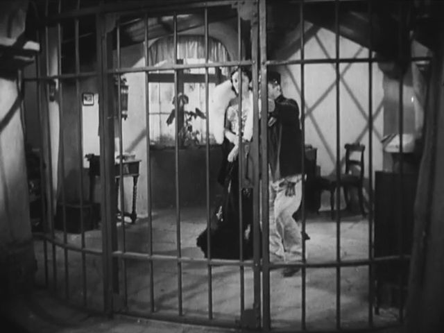 Die Fledermaus (1937)_RU_DE_Grampy.mkv_snapshot_01.26.10.386.png