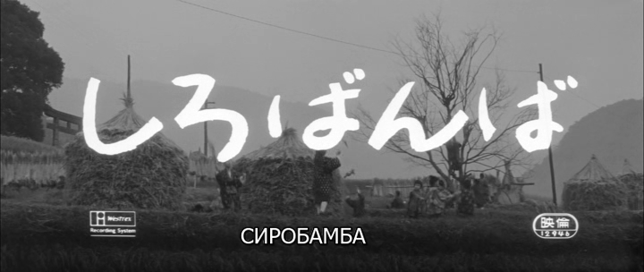 YG-2026-07-09-19h25m50s201.png