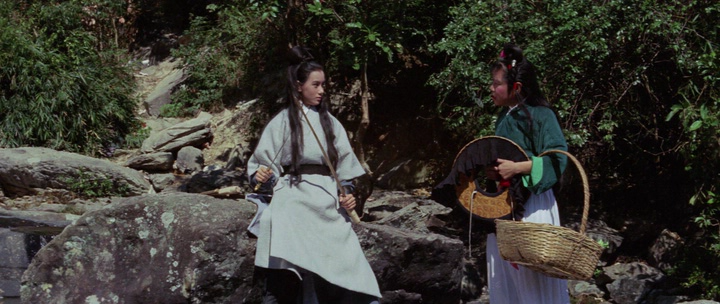 The Invincible Eight - Tian long ba jiang (1971)_HDRip_.avi_snapshot_01.18.32.170.png