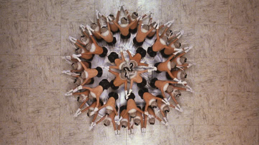 dvd_snapshot_00.10.39.966.png