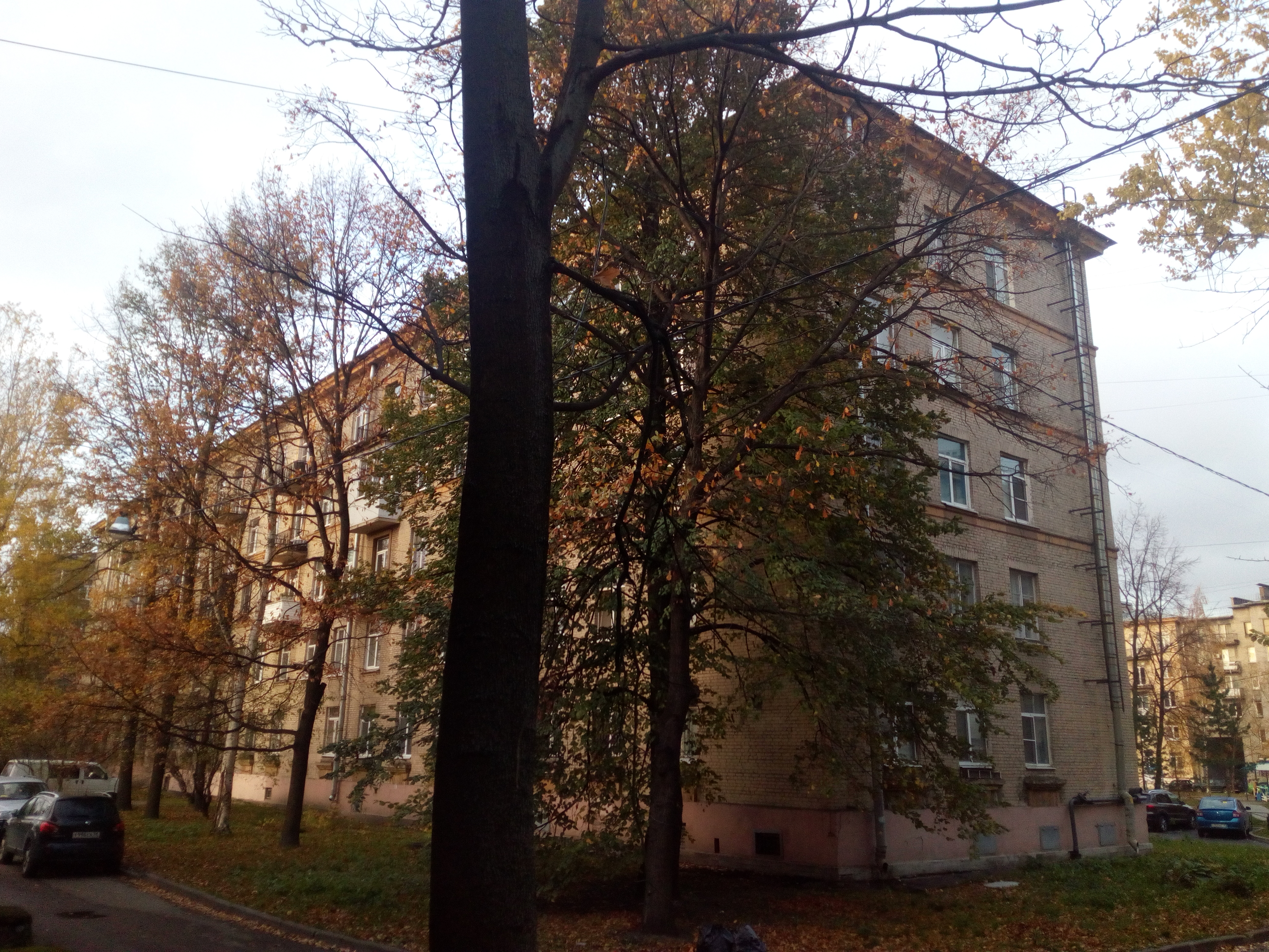 Ткачей 17_3.jpg