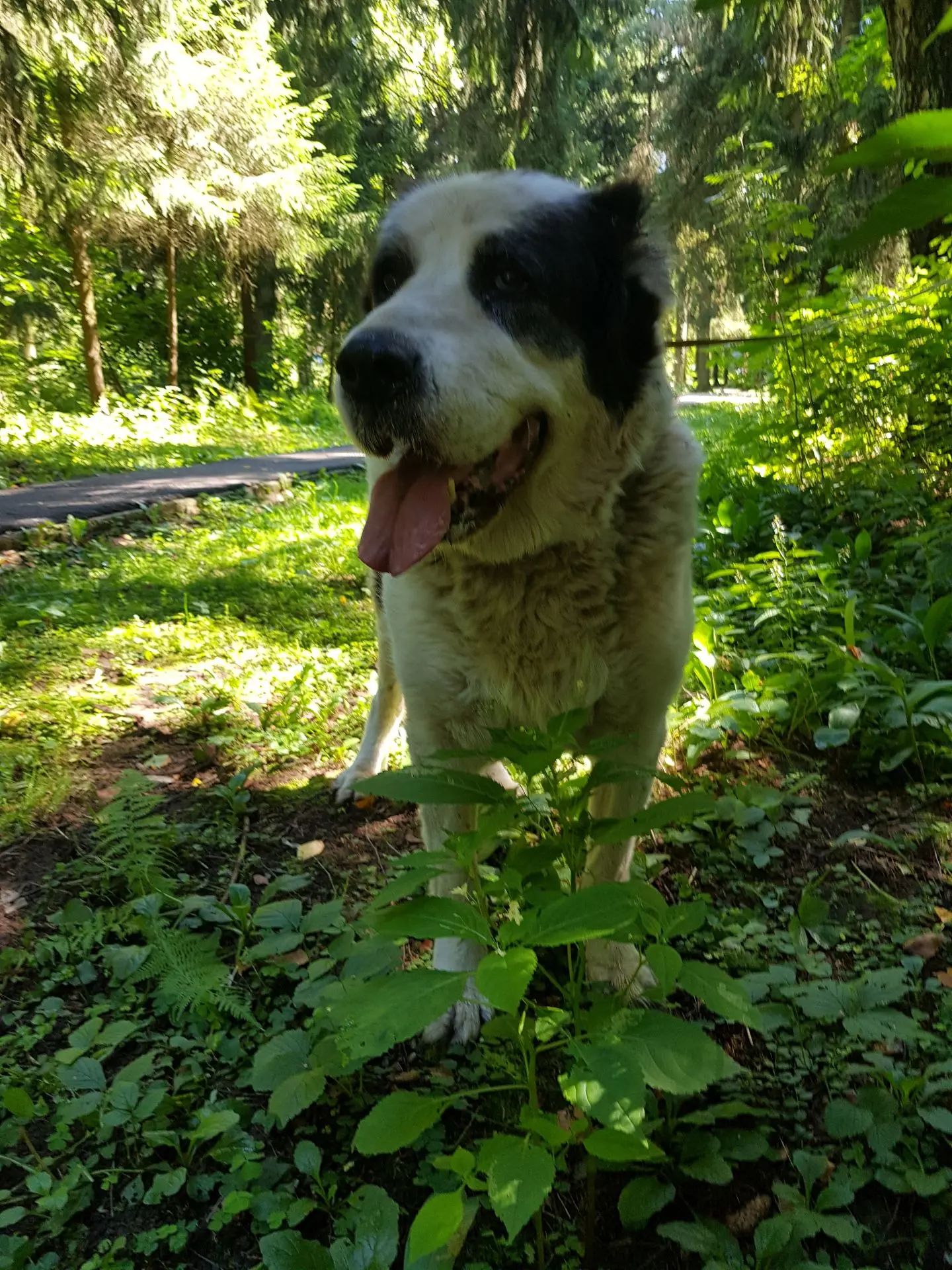 https://i1.imageban.ru/out/2026/07/29/315ecf0031d18a06267368fa97e5c019.jpg