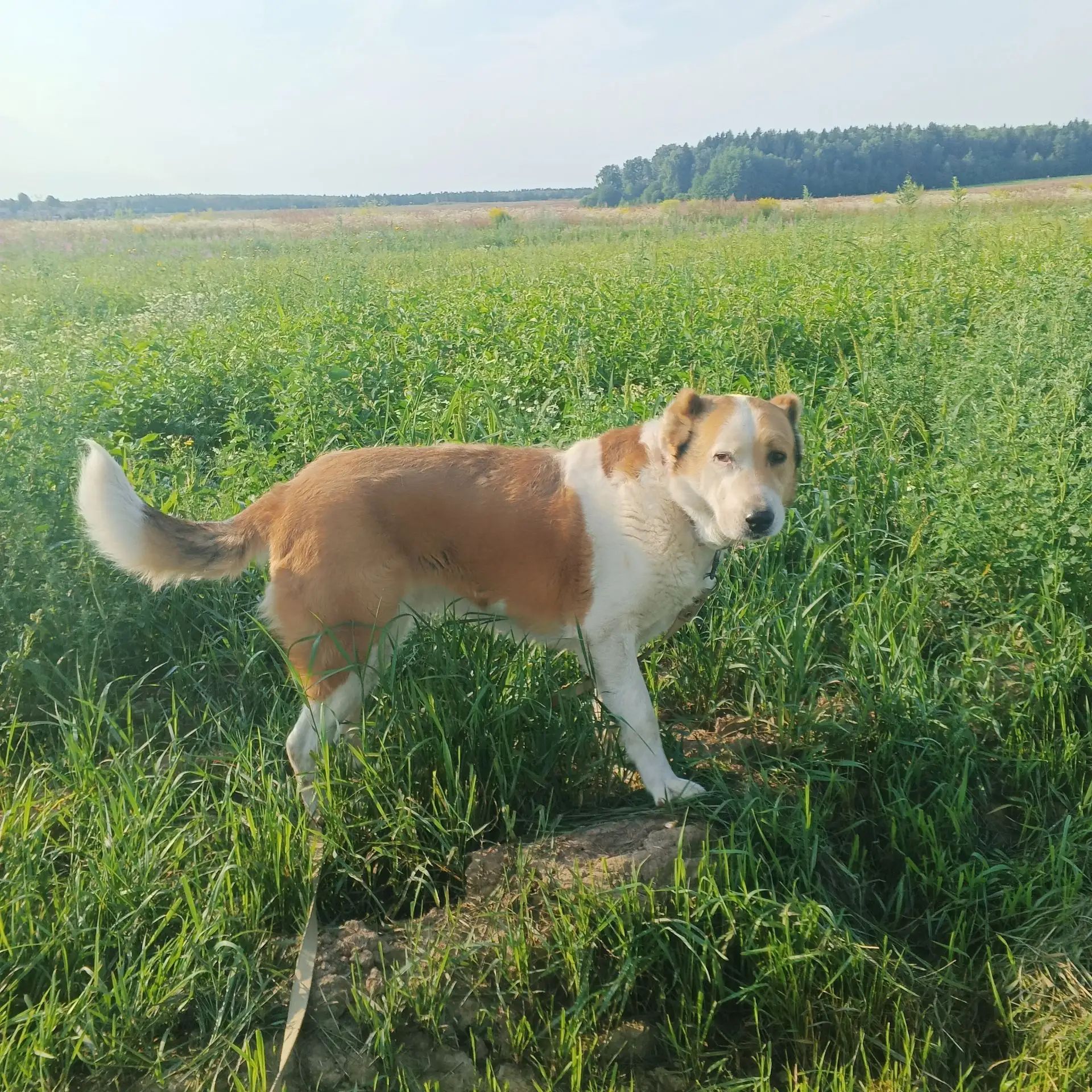 https://i1.imageban.ru/out/2026/07/29/4d3f28dcc11e0297e5bfa0fc81d527b2.jpg