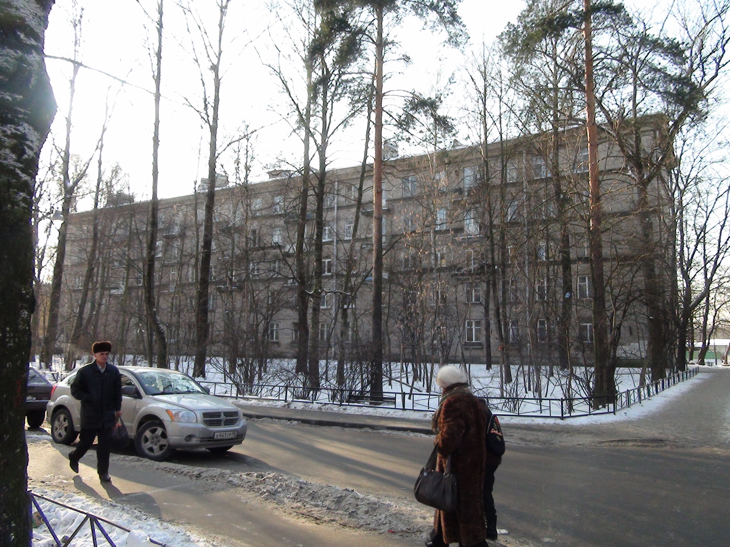 Костромской 20.jpeg