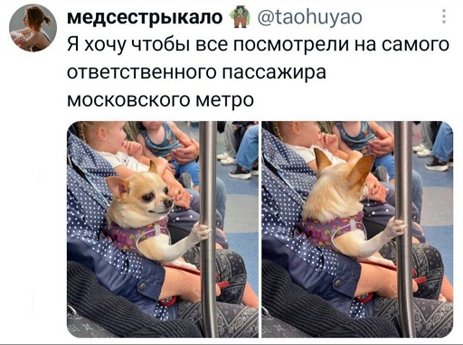 https://i1.imageban.ru/out/2026/07/31/9e022ac7b46b6767e5b5ce0f1b039e26.jpg