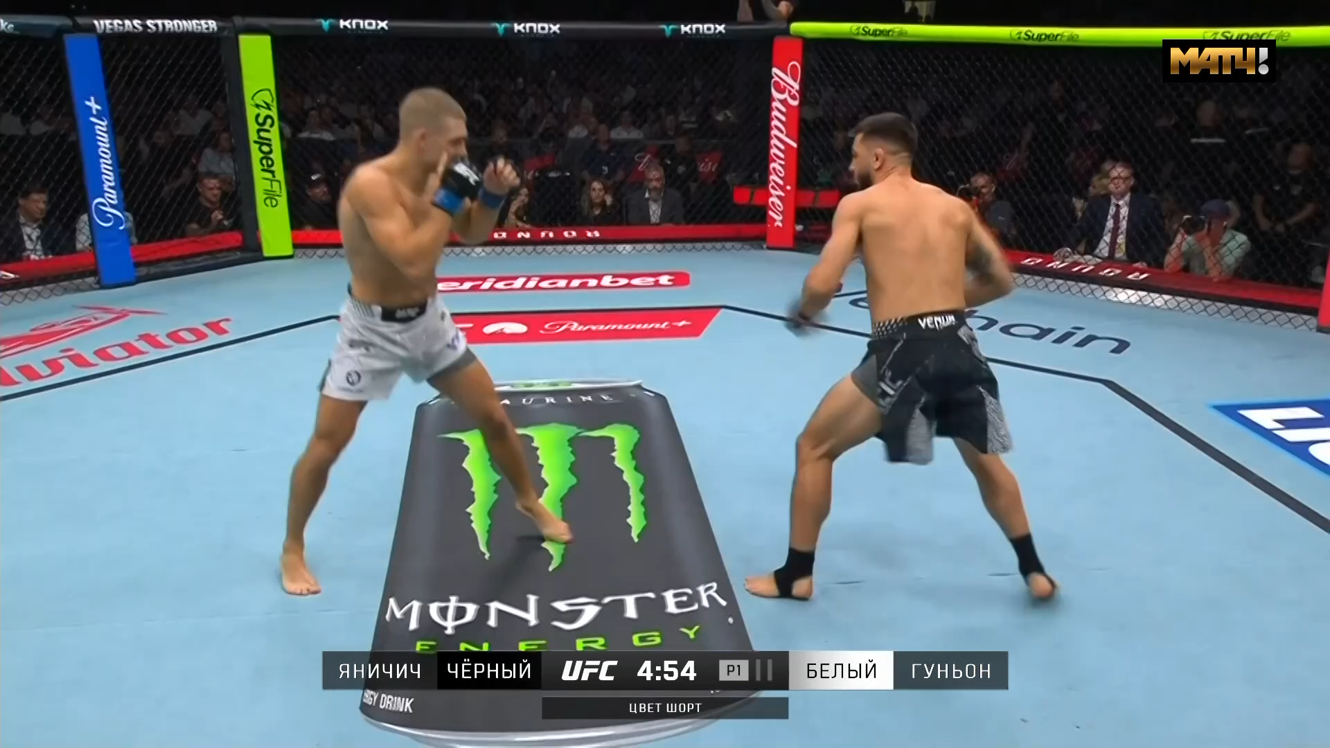 UFC Fight Night 283 Medic vs Rodriguez - Матч ТВ (25 FPS) [Main Card].mkv_snapshot_00.09.08.000.png