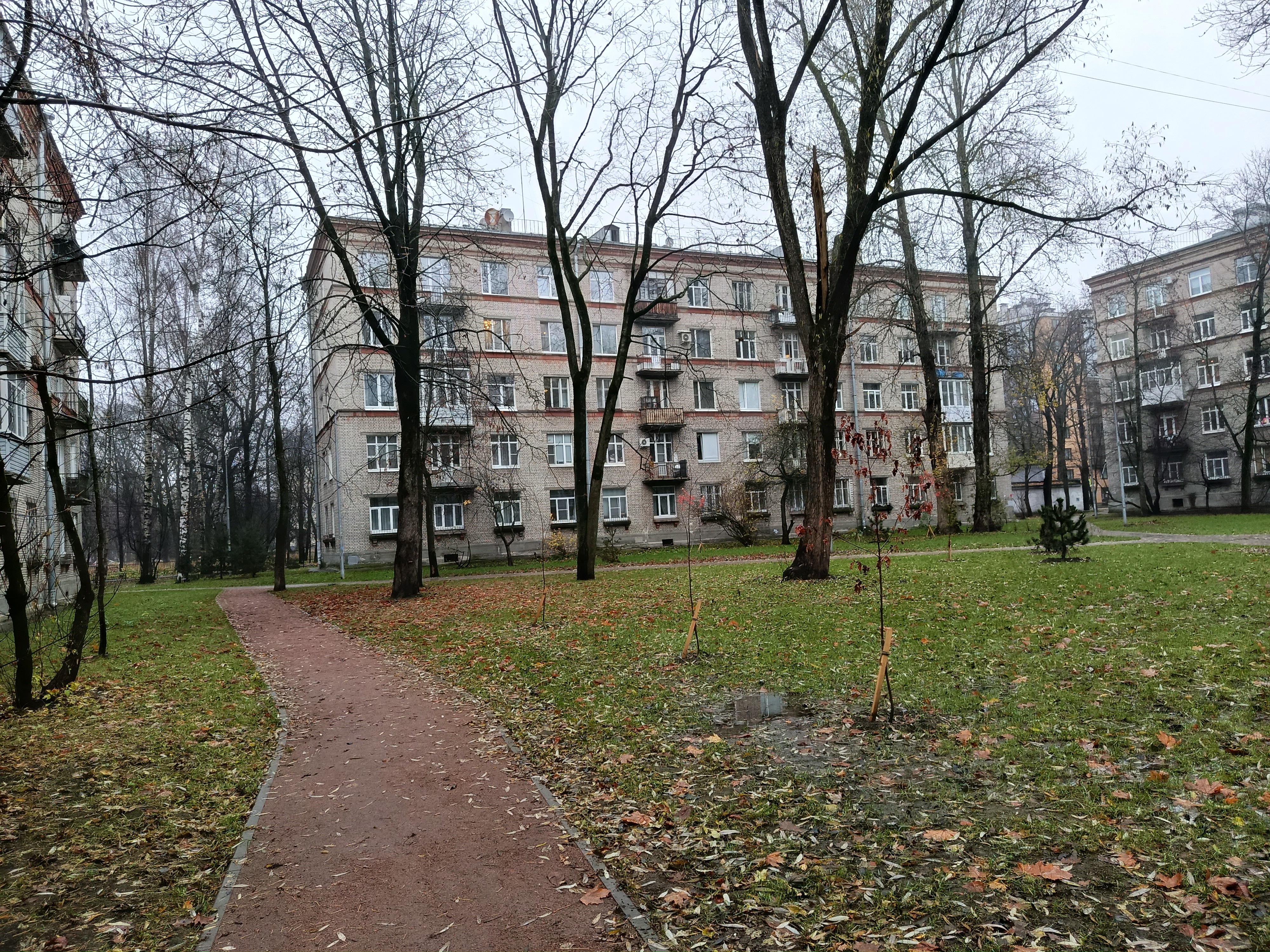 Костромской 35_3.JPG