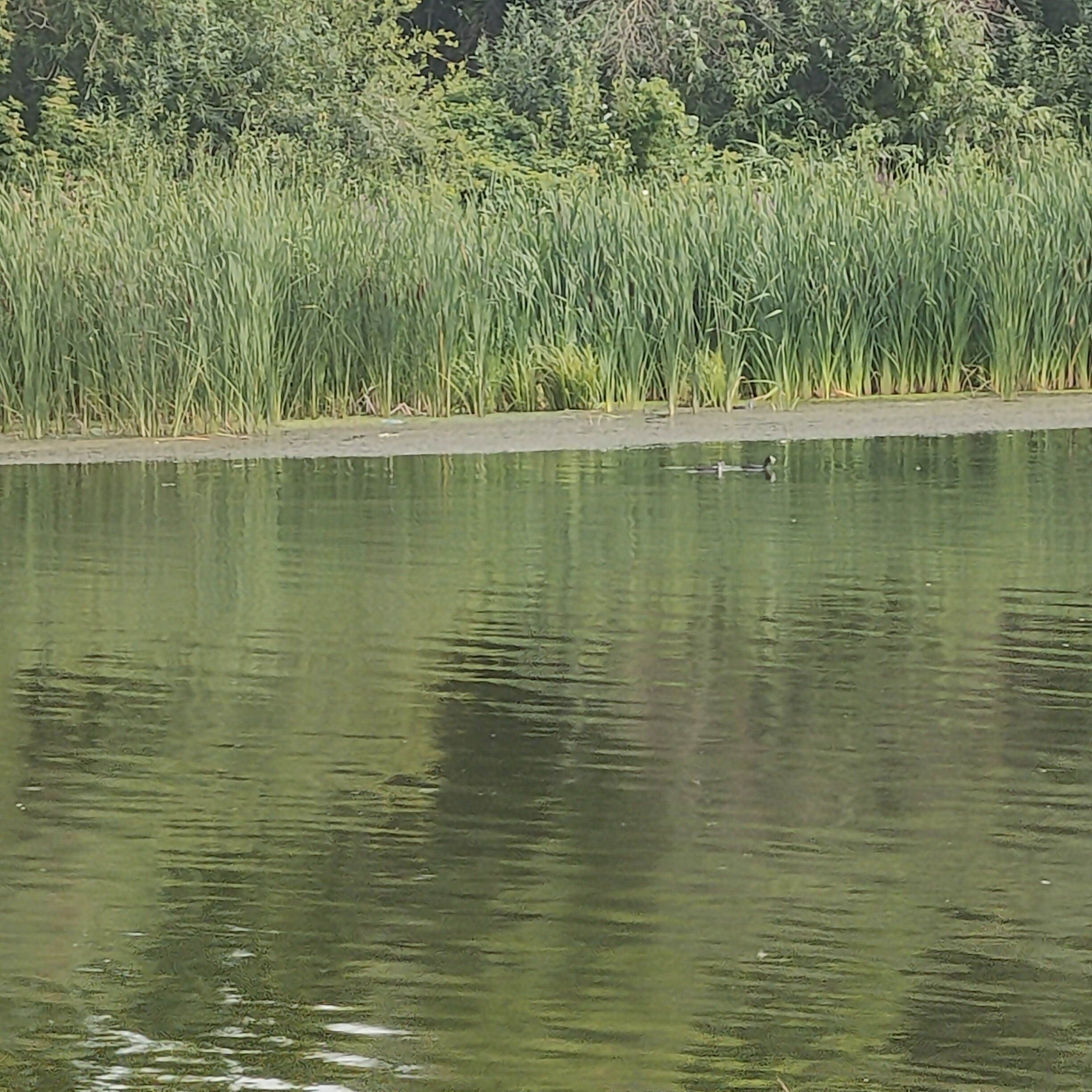 IMG20260805160406.jpg