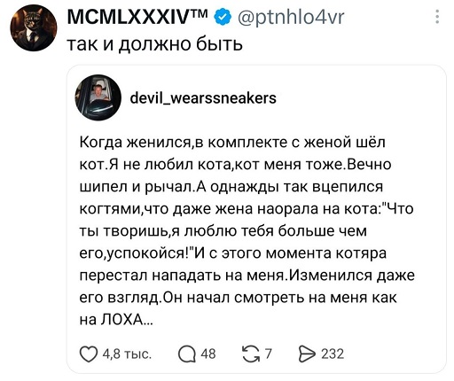 https://i1.imageban.ru/out/2026/08/06/af9397a5d4a481a10b01d49a536b3819.jpg