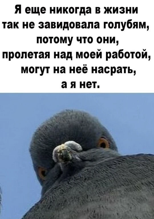 IMG_20260809_103652.png