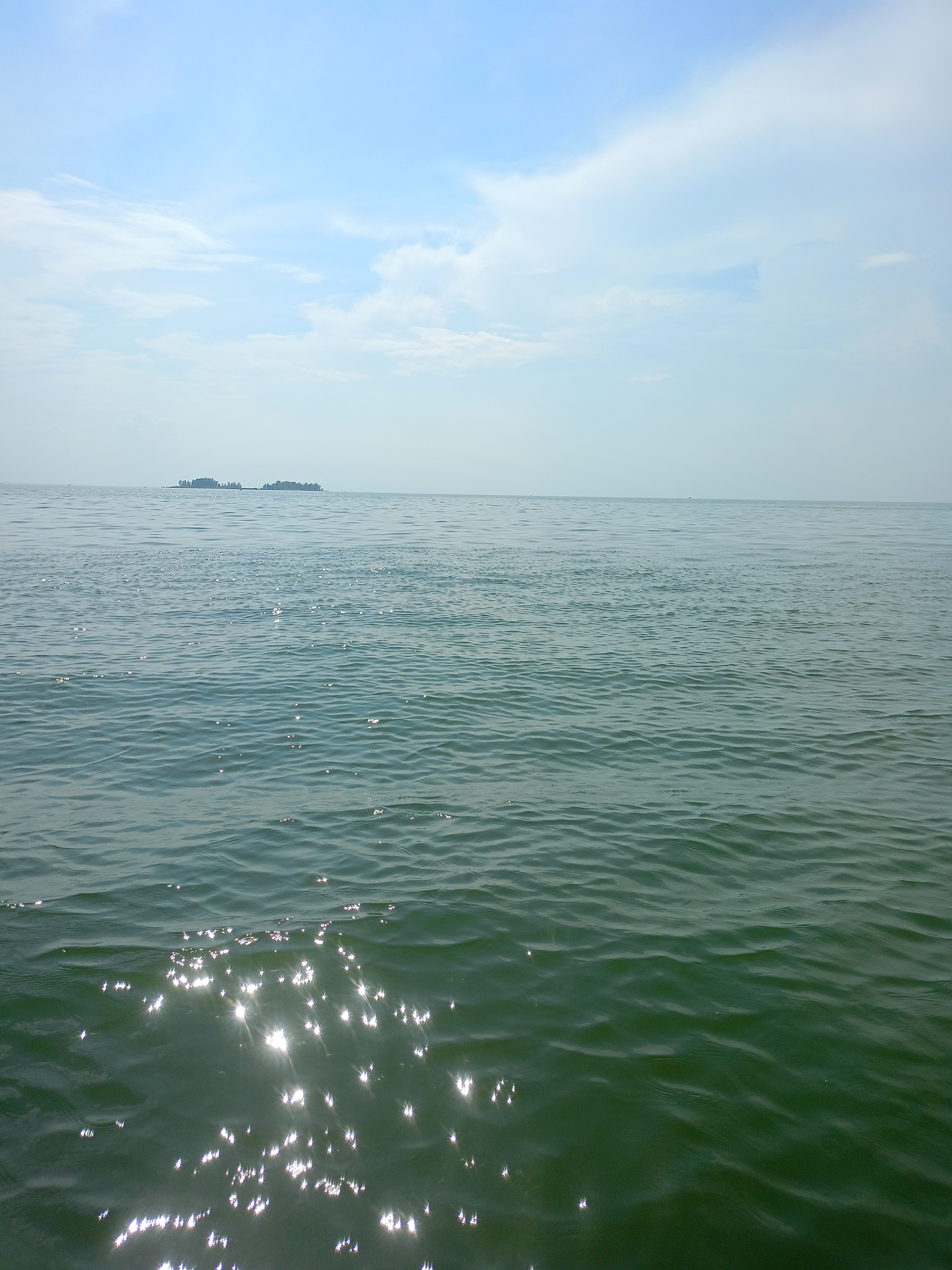 IMG20260729151325.jpg