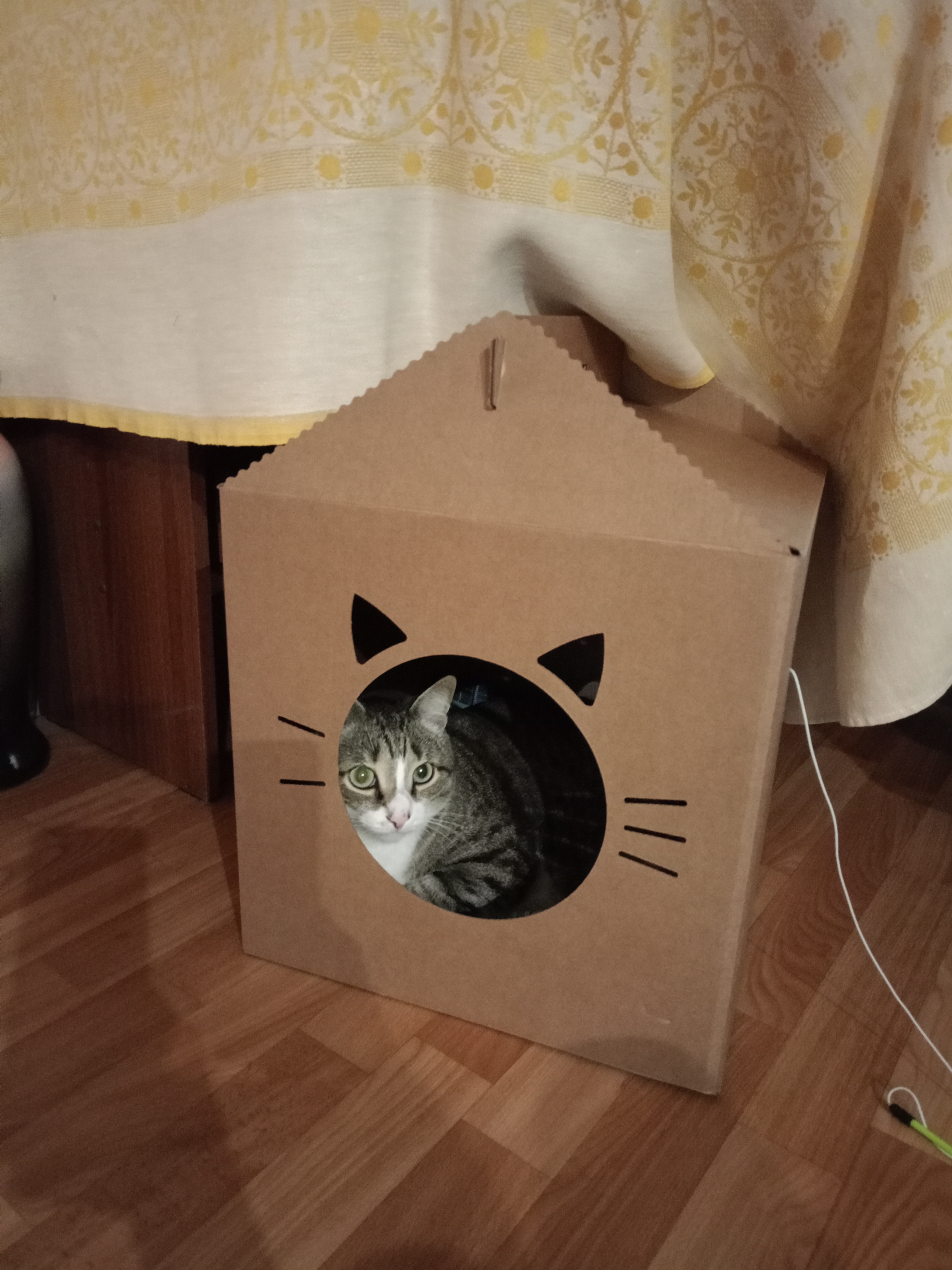 IMG20260725191901.jpg