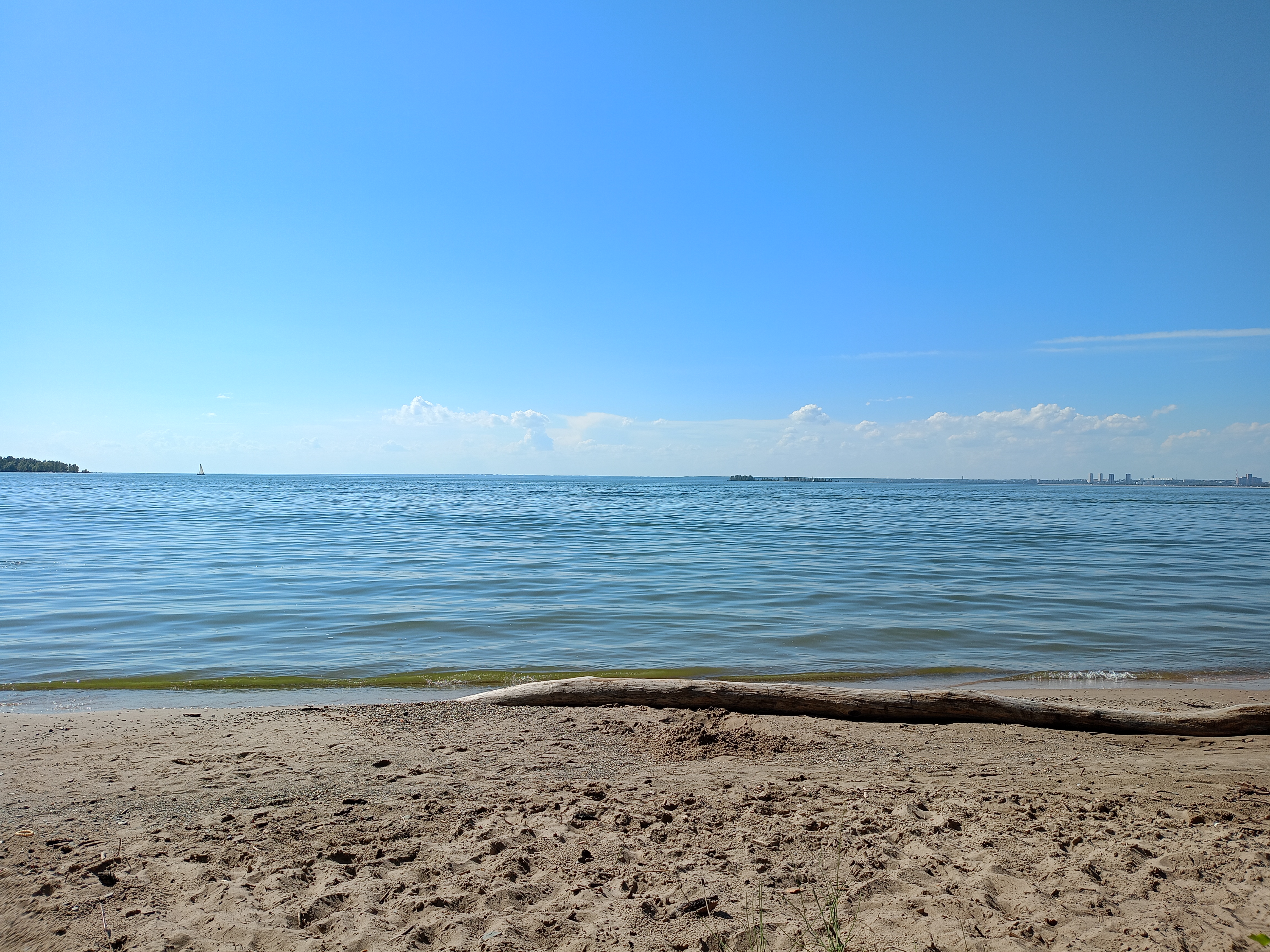 IMG20260805161007.jpg