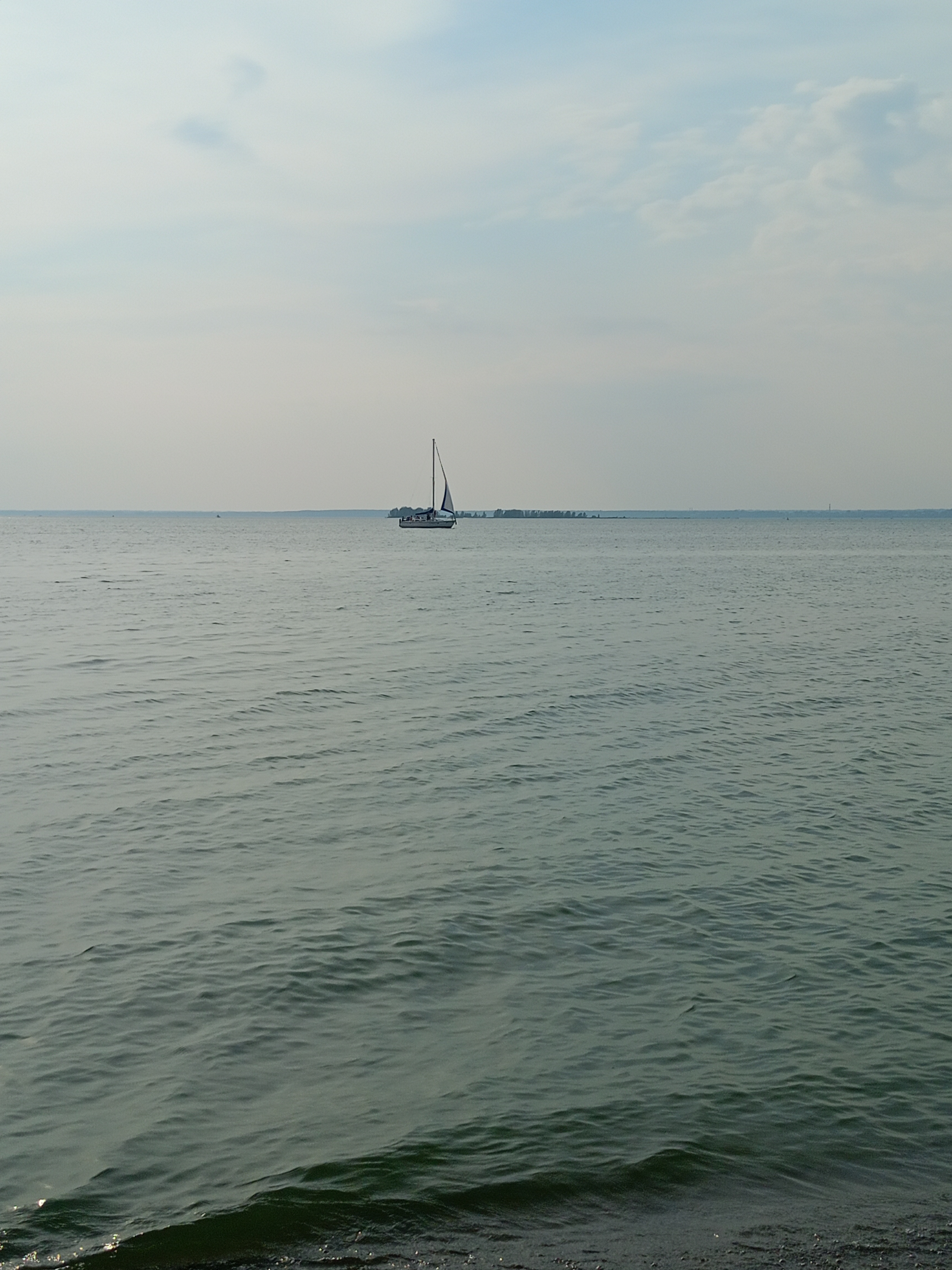 IMG20260803183651.jpg